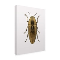 Védjegy Szépművészet 'Beetle Fabrikken' Canvas Art készítette: Design Fabrikken