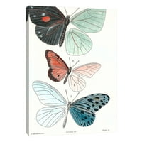 Képek, Lepidopteres 1, Emile Blanchard, 16x20, dekoratív vászon fali művészet