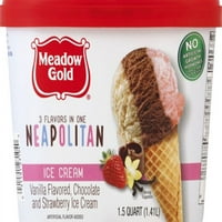 Meadow Gold fagylalt Nápoly 1. Quart Scound
