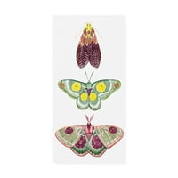 Védjegy Szépművészeti „Moth tündér i” Canvas Art by Grace Popp