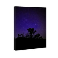 Wynwood Studio Természet és tájfal art vászon nyomatok 'Csillagos éjszaka Joshua' sivatagi tájak - lila, fekete