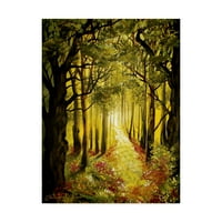 Védjegy Képzőművészet 'Sunlit Forest Path' vászon művészet: Cherie Roe Dirksen