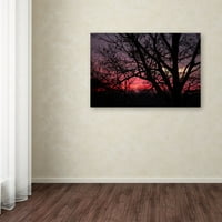 Védjegy Képzőművészet Pink Sunset vászon művészete: Jason Shaffer