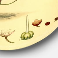Designart 'ősi növényi élet iii' hagyományos körfém fali művészet - 11 -es lemez