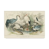 Védjegy Szépművészeti „Herons Egrets and Cranes” vászon művészete: J. Stewart