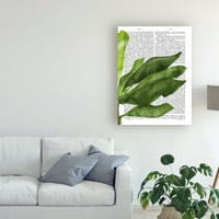 Védjegy Szépművészet 'Banán levelek 1, Green on White' Canvas Art készítette Fab Funky